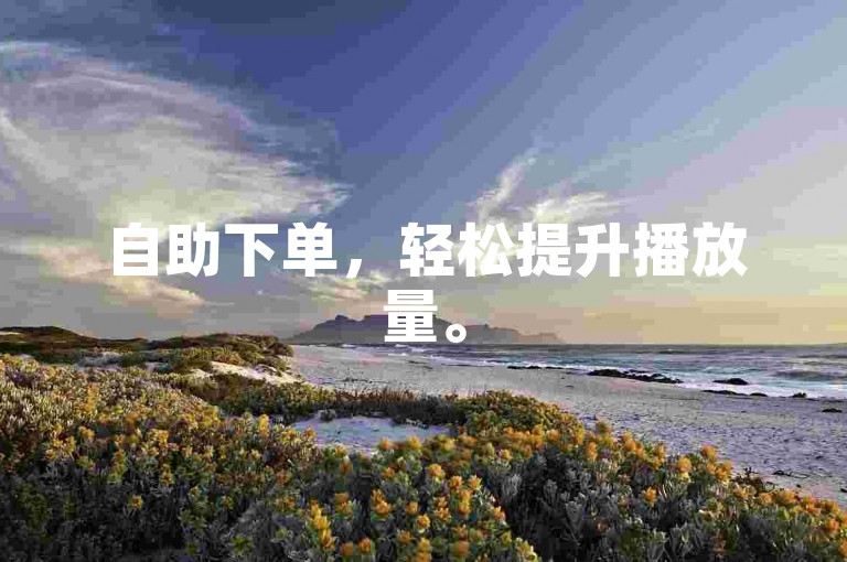 自助下单，轻松提升播放量。