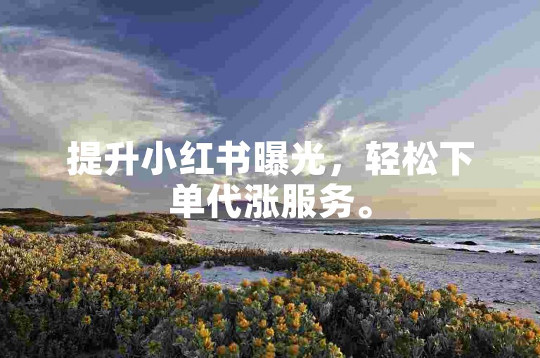 提升小红书曝光，轻松下单代涨服务。