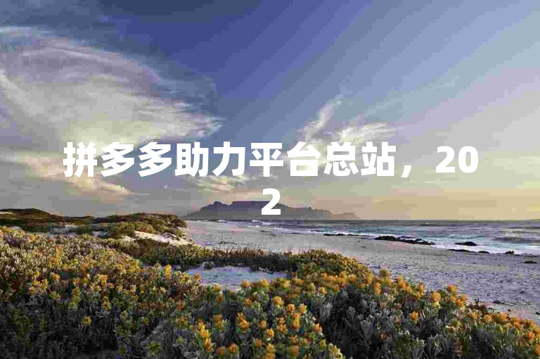 拼多多助力平台总站，2025年发展蓝图展望。