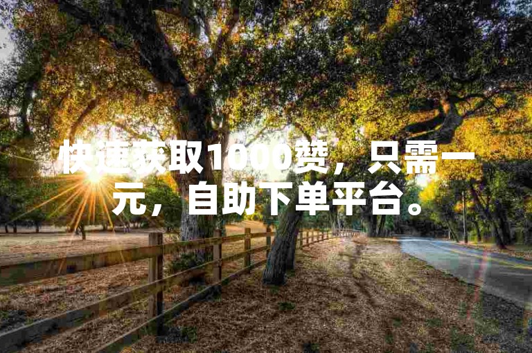 快速获取1000赞，只需一元，自助下单平台。
