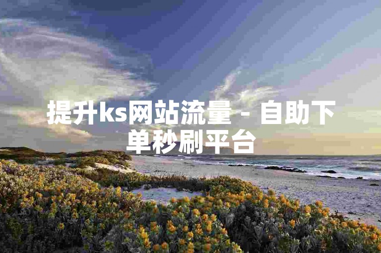 提升ks网站流量 - 自助下单秒刷平台
