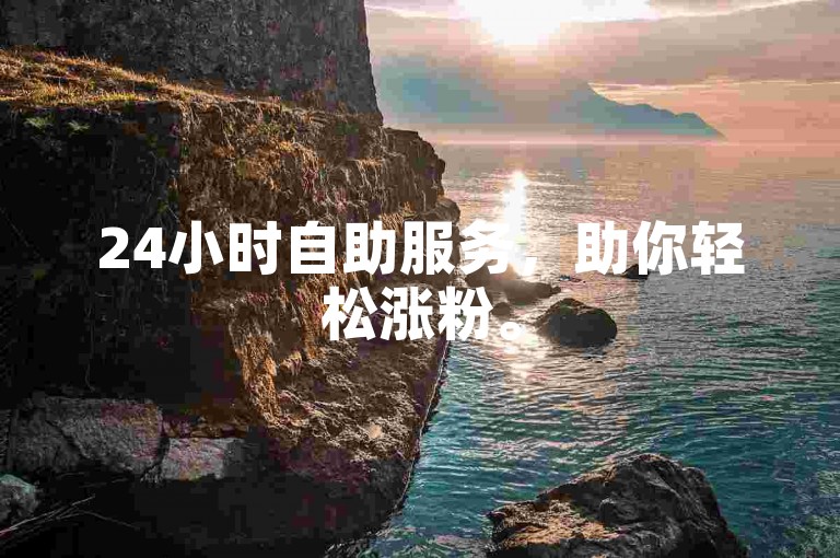 24小时自助服务，助你轻松涨粉。
