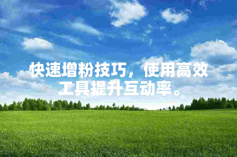 快速增粉技巧，使用高效工具提升互动率。
