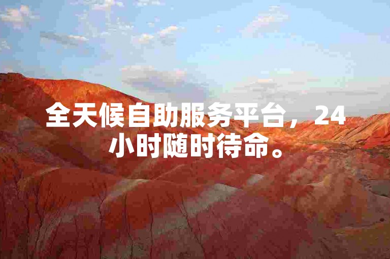 全天候自助服务平台，24小时随时待命。