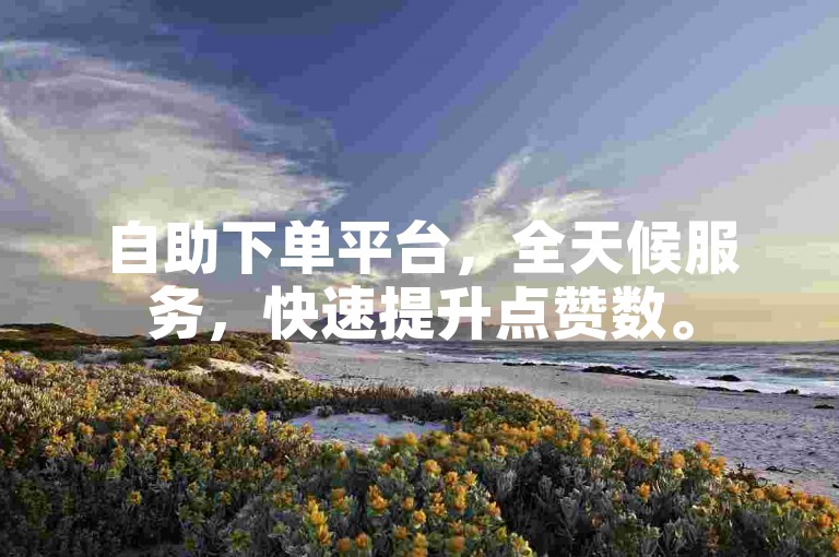 自助下单平台，全天候服务，快速提升点赞数。