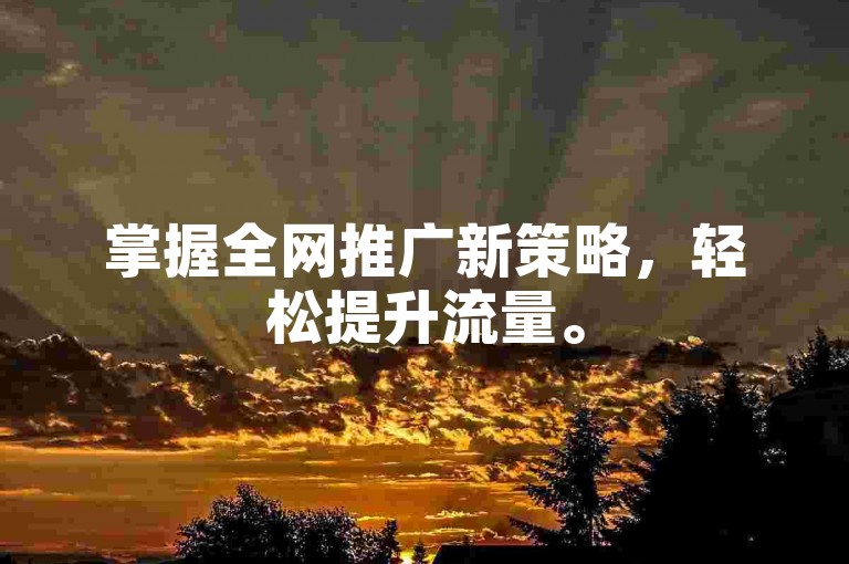 掌握全网推广新策略，轻松提升流量。