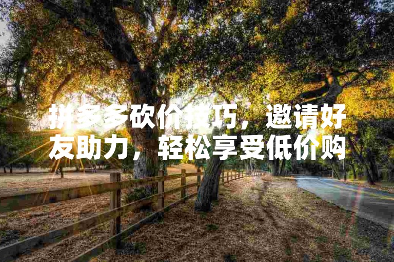 拼多多砍价技巧，邀请好友助力，轻松享受低价购物。