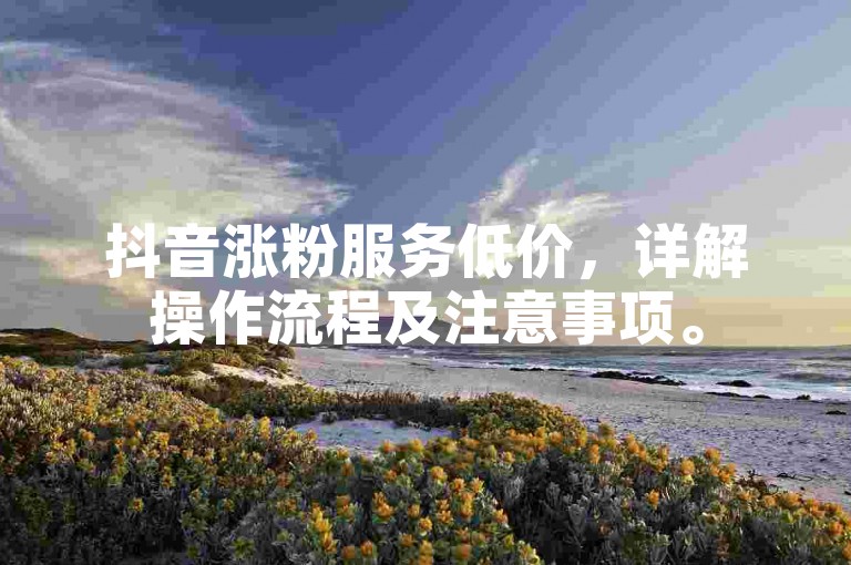 抖音涨粉服务低价，详解操作流程及注意事项。