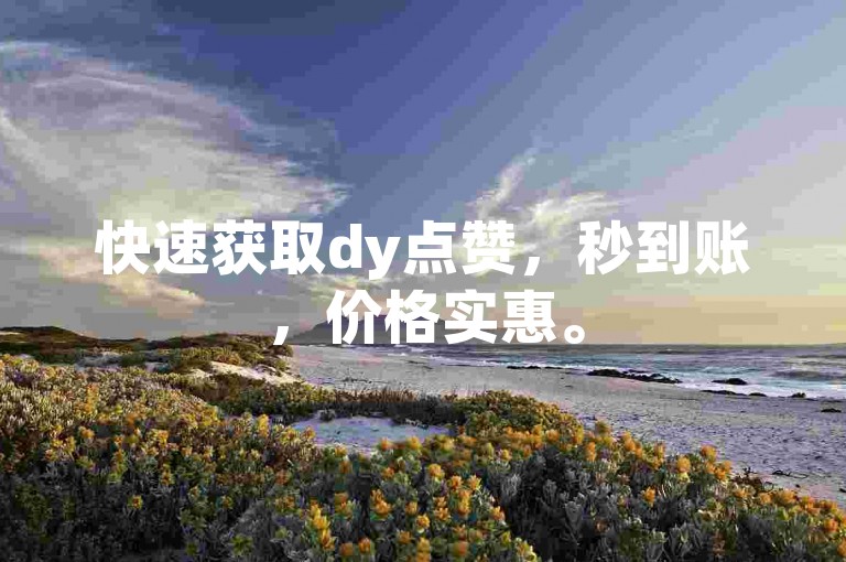 快速获取dy点赞，秒到账，价格实惠。