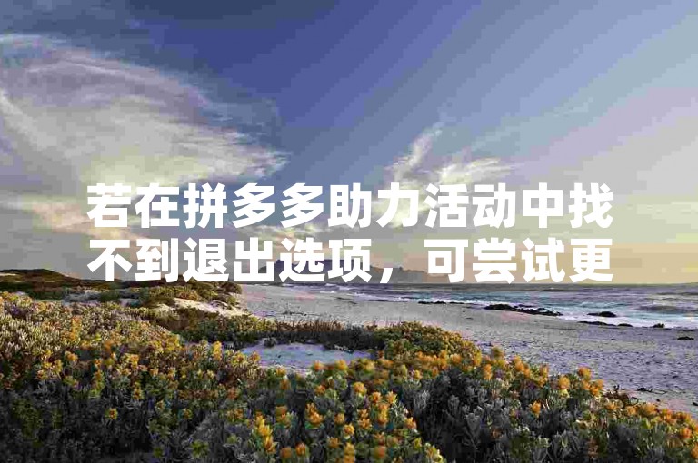 若在拼多多助力活动中找不到退出选项，可尝试更新应用或联系客服。