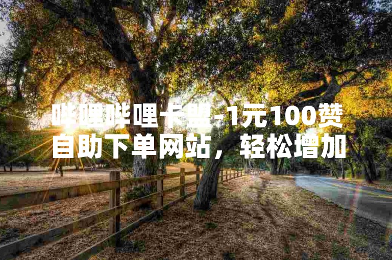 哔哩哔哩卡盟-1元100赞自助下单网站，轻松增加视频热度。
