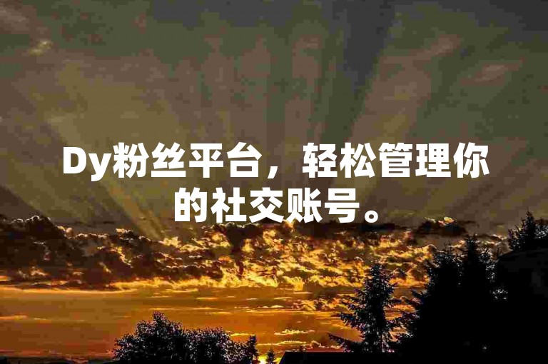 Dy粉丝平台，轻松管理你的社交账号。