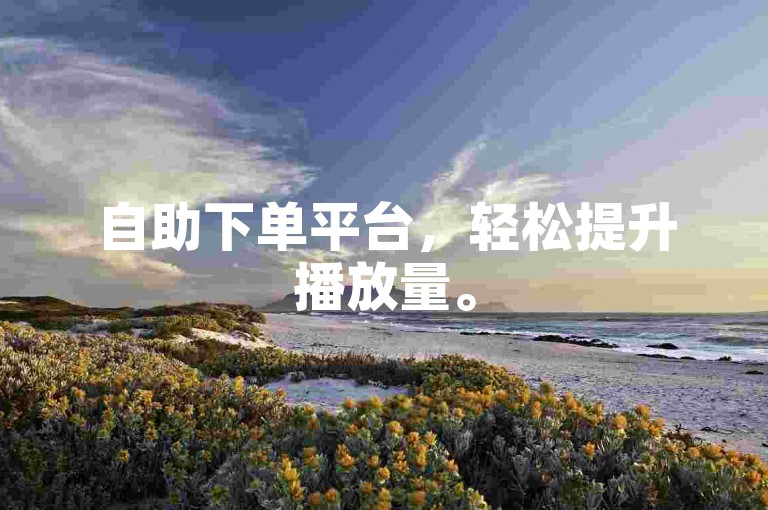 自助下单平台，轻松提升播放量。