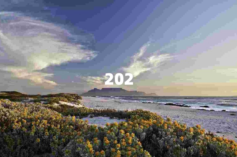 2025年拼多多砍价，使用多多助力平台轻松省钱。