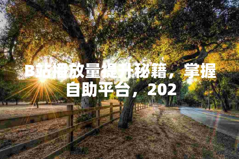 B站播放量提升秘籍，掌握自助平台，2025年视频曝光翻倍！