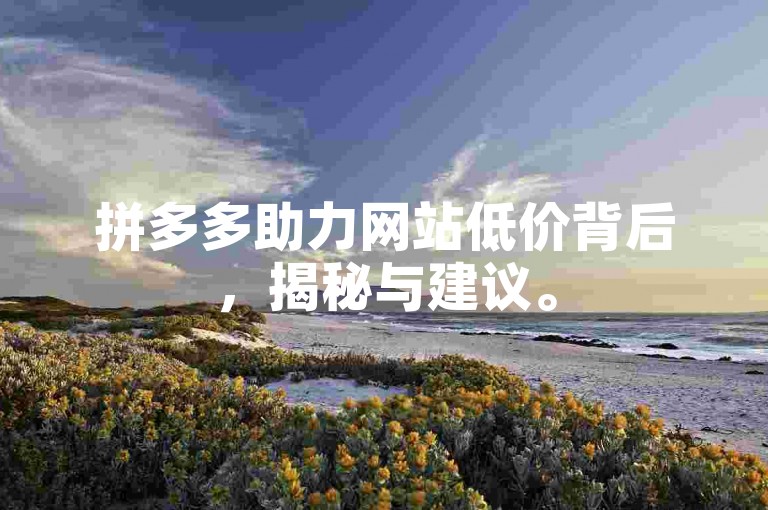拼多多助力网站低价背后，揭秘与建议。