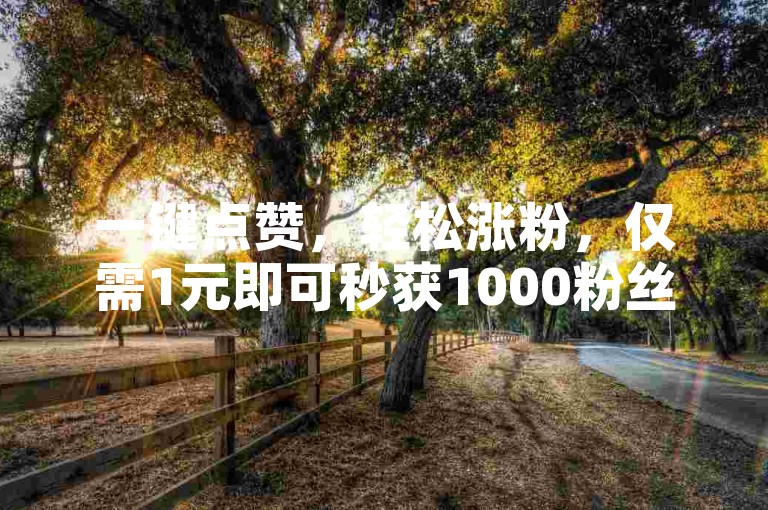 一键点赞，轻松涨粉，仅需1元即可秒获1000粉丝。