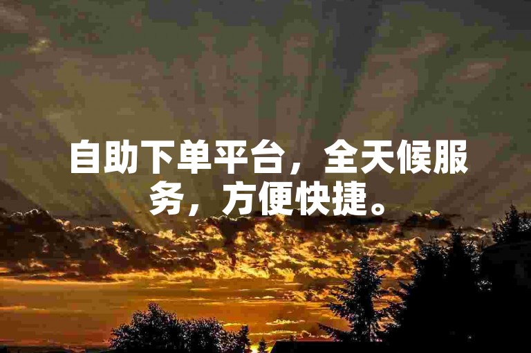 自助下单平台，全天候服务，方便快捷。