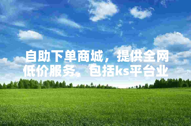 自助下单商城，提供全网低价服务，包括ks平台业务。