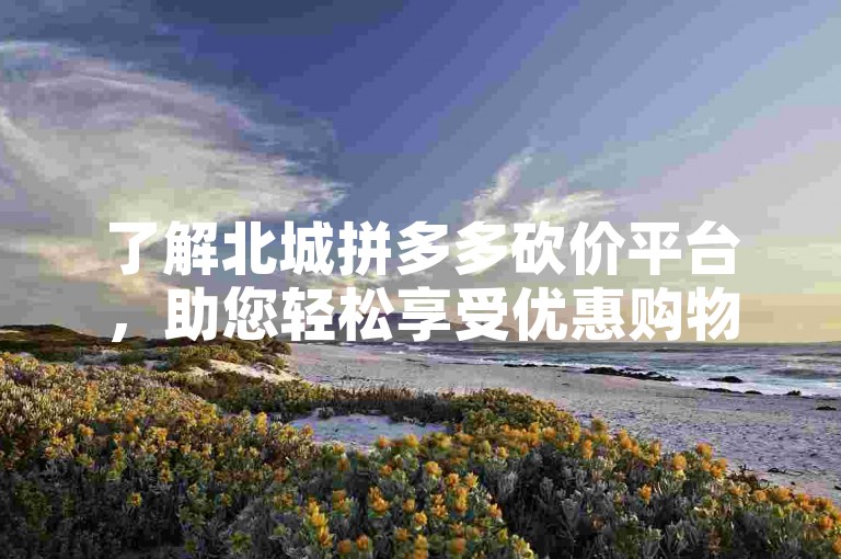 了解北城拼多多砍价平台，助您轻松享受优惠购物。