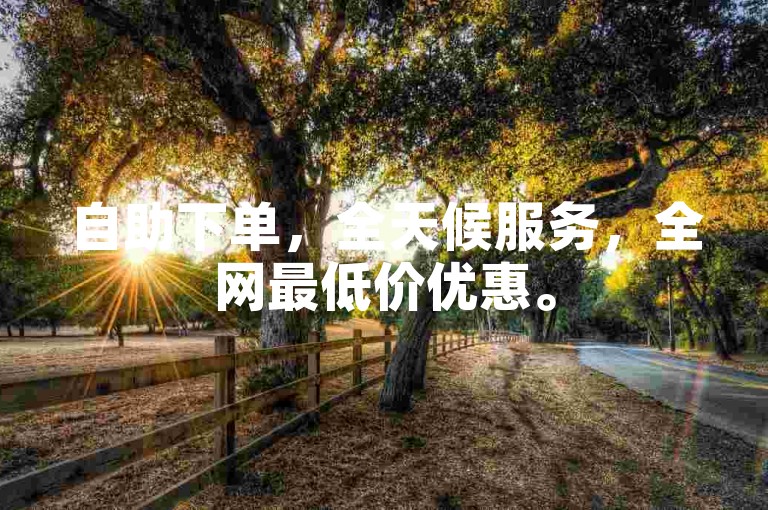 自助下单，全天候服务，全网最低价优惠。