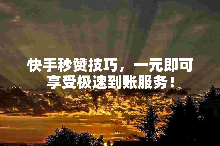 快手秒赞技巧，一元即可享受极速到账服务！