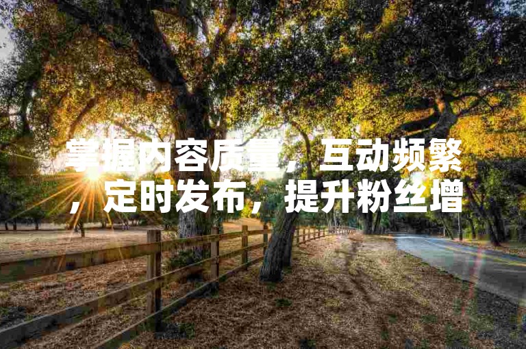 掌握内容质量，互动频繁，定时发布，提升粉丝增长。