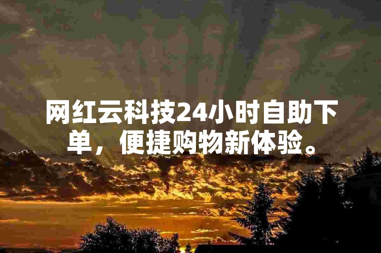 网红云科技24小时自助下单，便捷购物新体验。