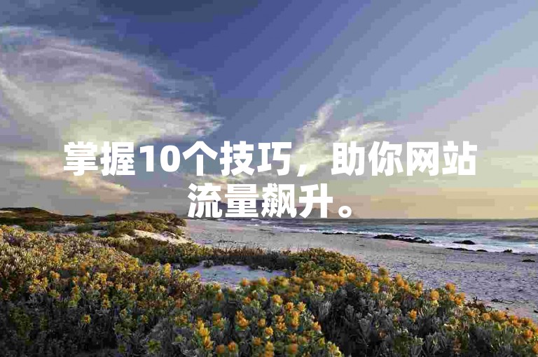 掌握10个技巧，助你网站流量飙升。