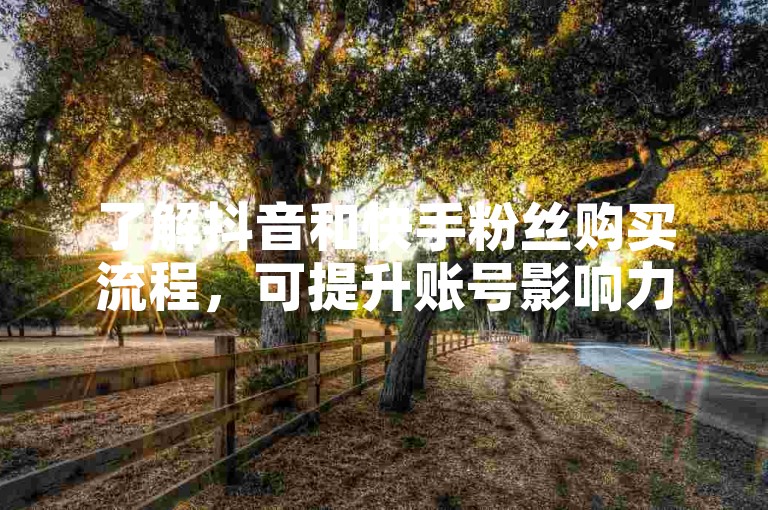 了解抖音和快手粉丝购买流程，可提升账号影响力。