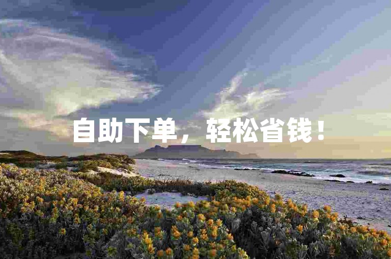 自助下单，轻松省钱！