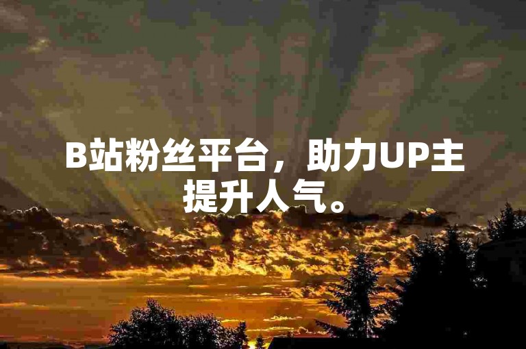 B站粉丝平台，助力UP主提升人气。
