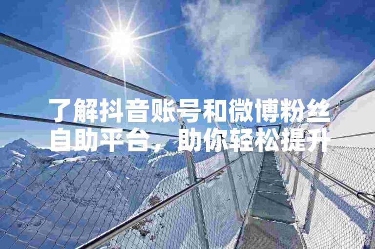 了解抖音账号和微博粉丝自助平台，助你轻松提升社交媒体影响力。