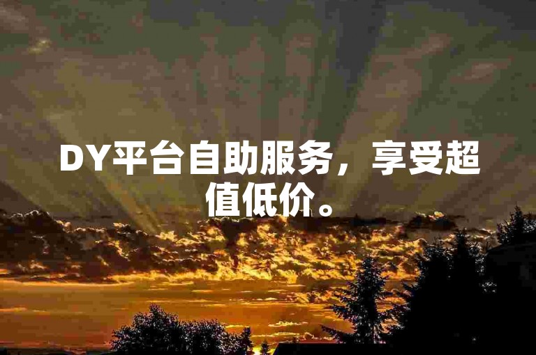 DY平台自助服务，享受超值低价。