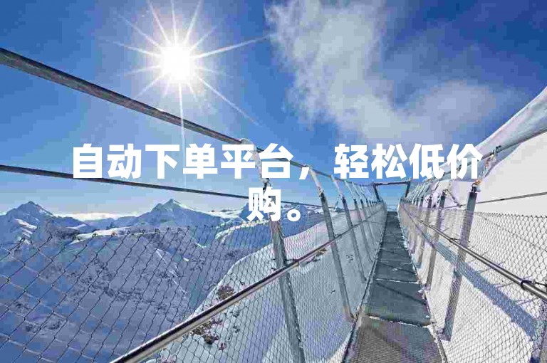 自动下单平台，轻松低价购。