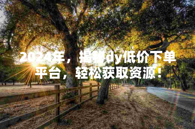 2024年，揭秘dy低价下单平台，轻松获取资源！