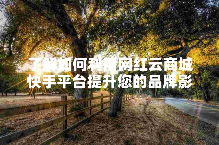 了解如何利用网红云商城快手平台提升您的品牌影响力。