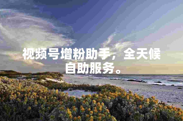 视频号增粉助手，全天候自助服务。
