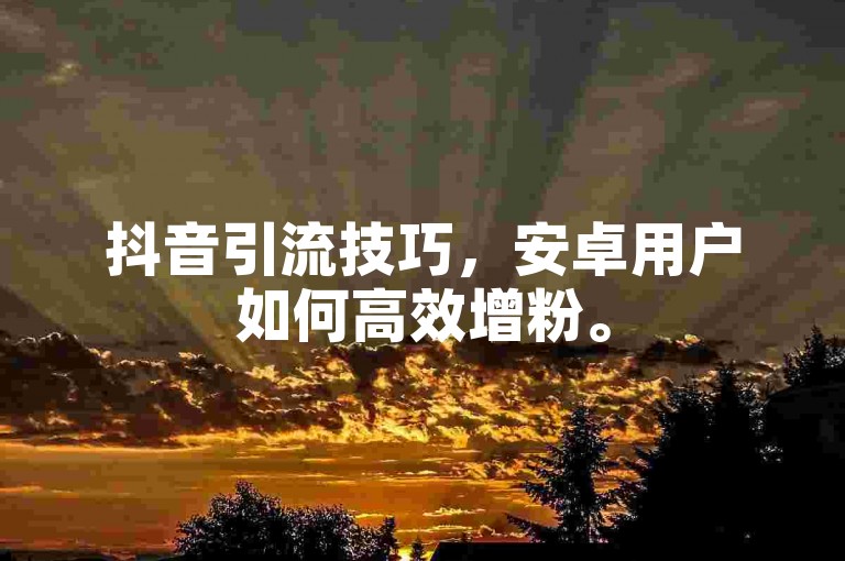 抖音引流技巧，安卓用户如何高效增粉。