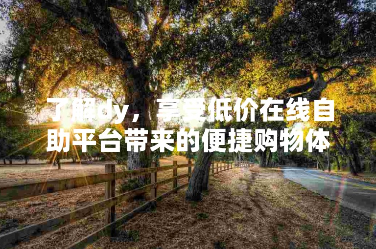 了解dy，享受低价在线自助平台带来的便捷购物体验。