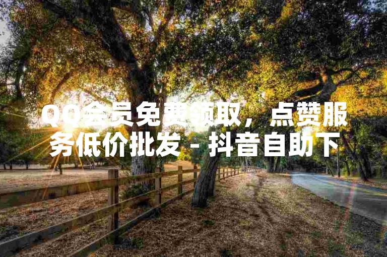 QQ会员免费领取，点赞服务低价批发 - 抖音自助下单平台