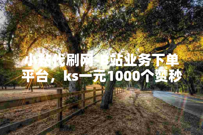 小粘代刷网-B站业务下单平台，ks一元1000个赞秒到软件。