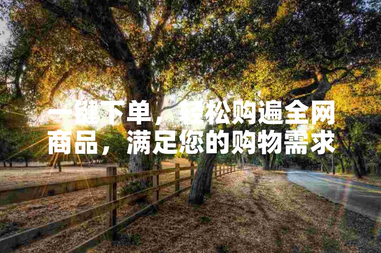 一键下单，轻松购遍全网商品，满足您的购物需求。