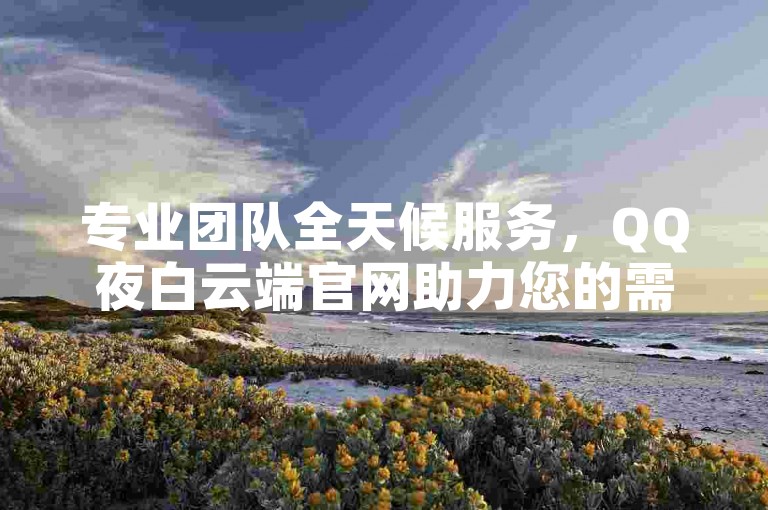 专业团队全天候服务，QQ夜白云端官网助力您的需求。