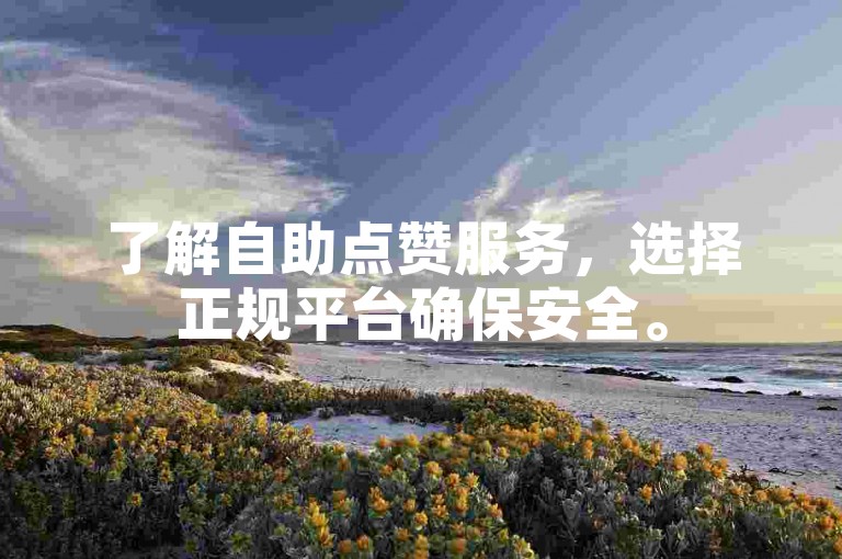 了解自助点赞服务，选择正规平台确保安全。