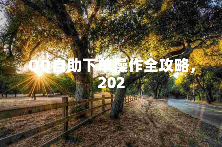 QQ自助下单操作全攻略，2025年必备技巧！