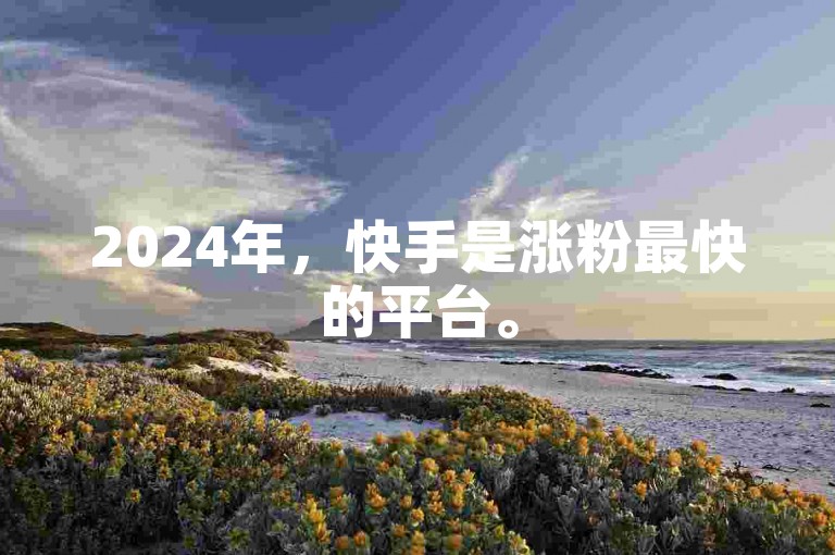 2024年，快手是涨粉最快的平台。