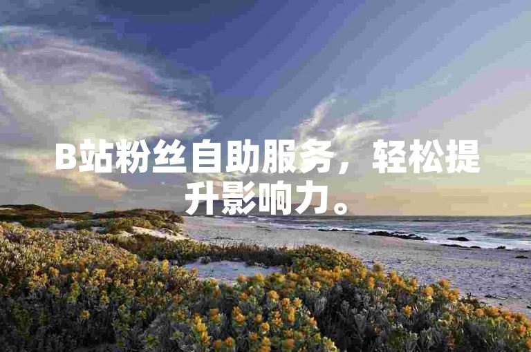 B站粉丝自助服务，轻松提升影响力。