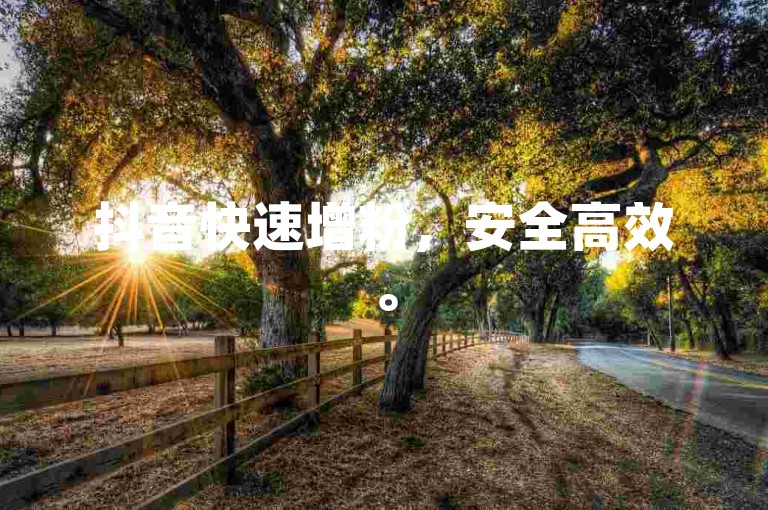 抖音快速增粉，安全高效。