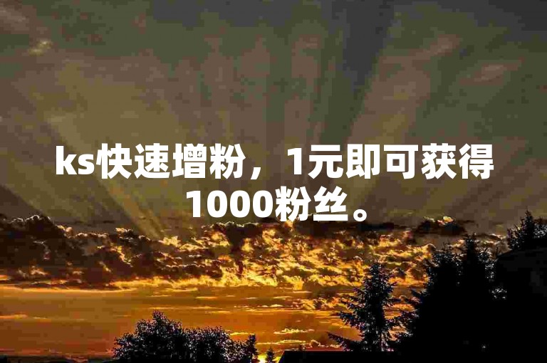 ks快速增粉，1元即可获得1000粉丝。